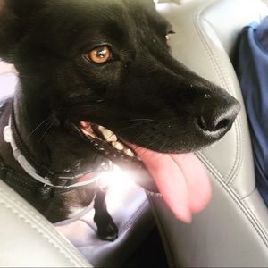 Meet your Posher, Cynthia lane